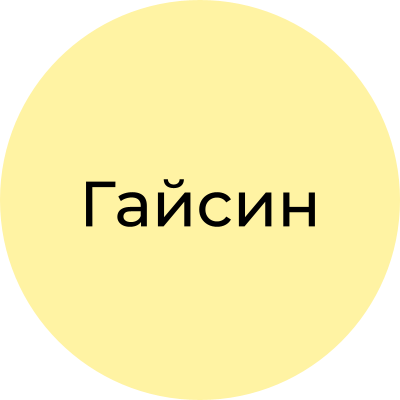 Gaisynskyi_rayon-222
